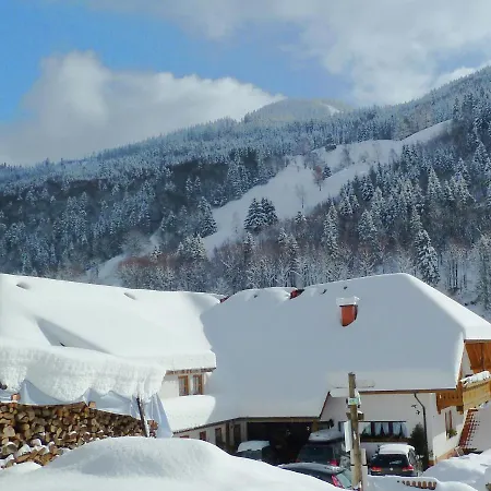 Apartament Garden Apartment, Brandenberg Todtnau