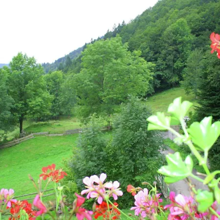 In Brandenberg With Terrace Todtnau