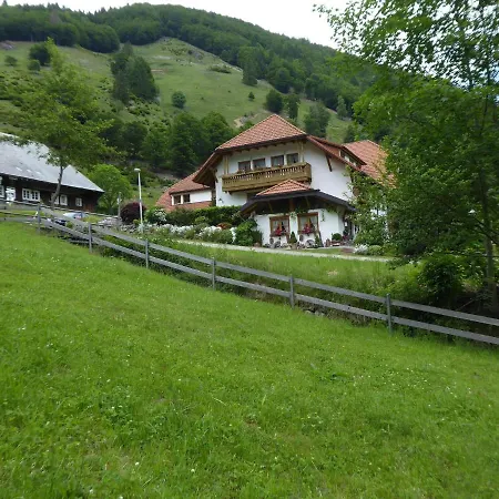 In Brandenberg With Terrace Todtnau