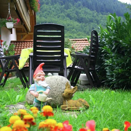 In Brandenberg With Terrace Todtnau