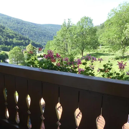 In Brandenberg With Terrace *
