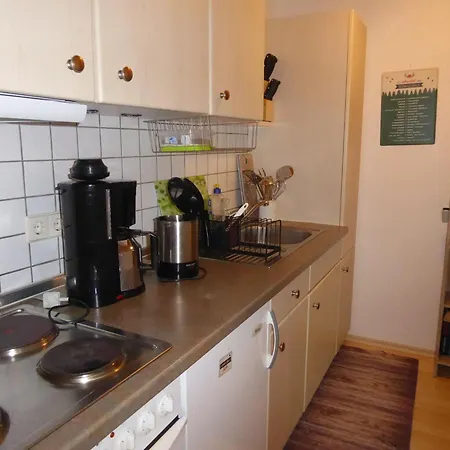 In Brandenberg With Terrace Apartment Todtnau