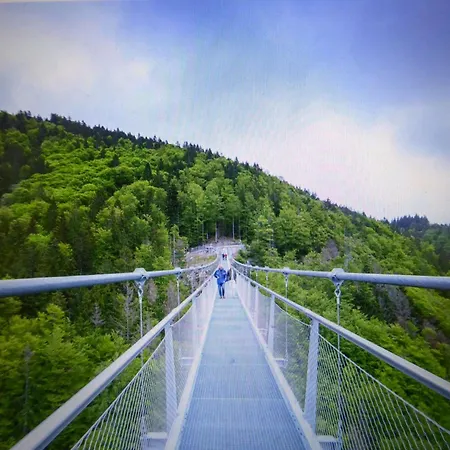 In Brandenberg With Terrace *