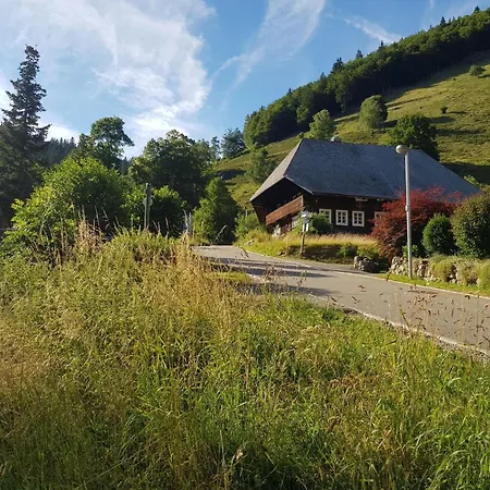 In Brandenberg With Terrace Apartment *