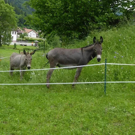 Garden Apartment, Brandenberg Apartament *